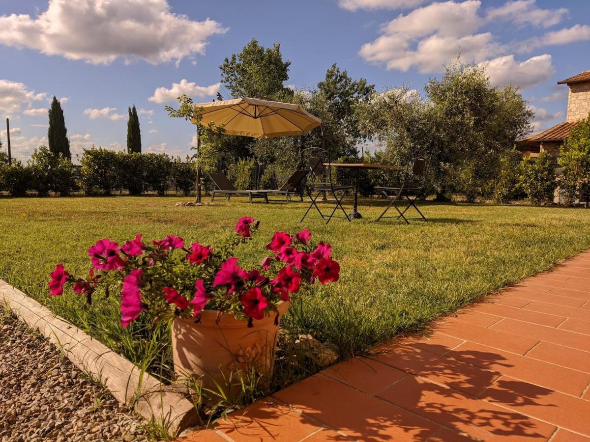 Il poggio più 'n giù - B&B Volterra