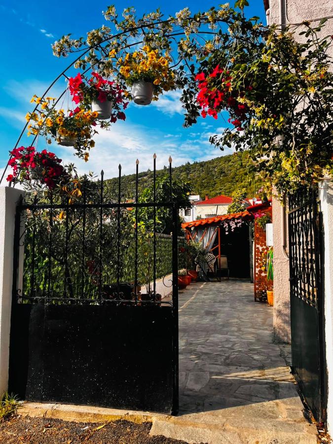 Ermis apartment 1 - Bed and Breakfast Prínos