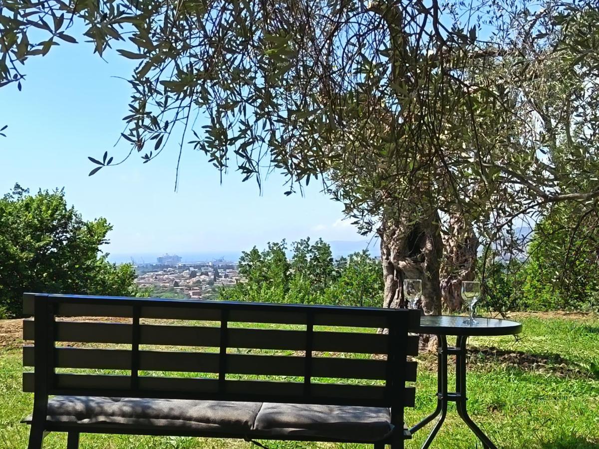 Whisper of Olives - 5 Min Drive to the Old Town, Bar - Chambres d'hôtes Bar