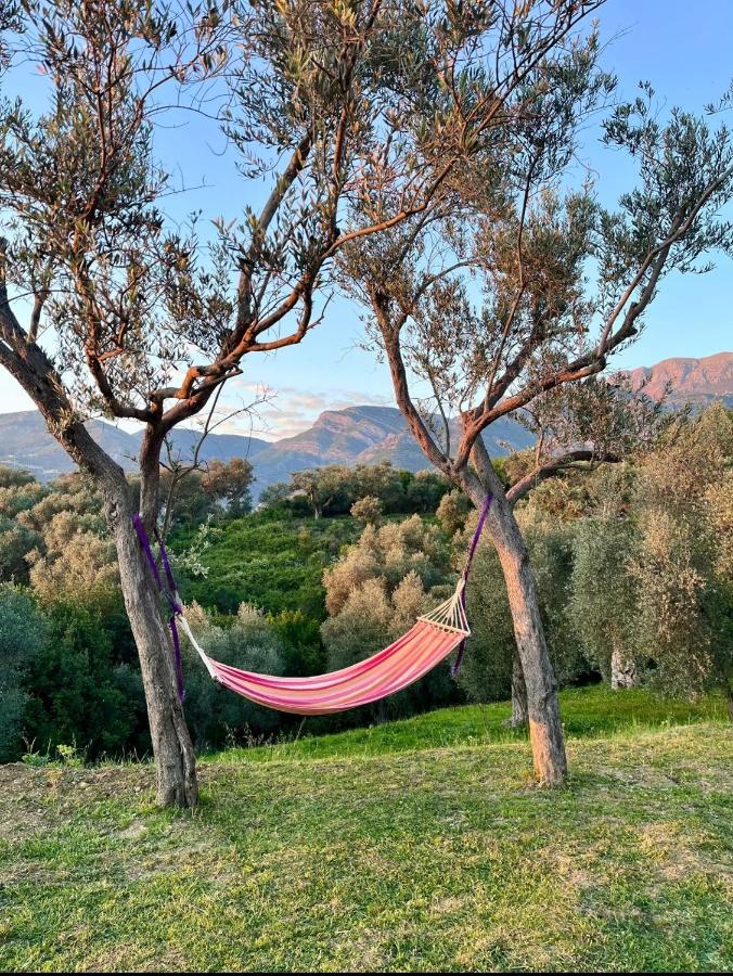 Whisper of Olives - 5 Min Drive to the Old Town, Bar - Chambres d'hôtes Bar