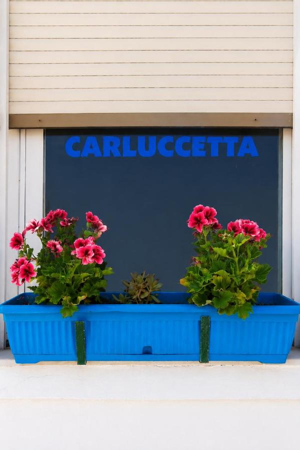 B&B Carluccetta - Chambres d'hôtes Centomani