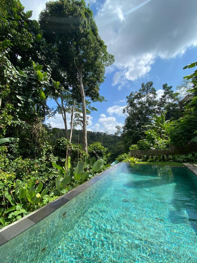 Vishnu Villa - Ubud Jungle Retreat with shared pool - C - Chambres d'hôtes Ubud