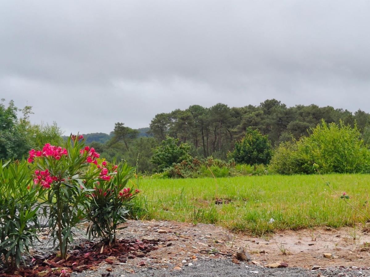 Le cocon breton en lisière de forêt - B&B La Gacilly