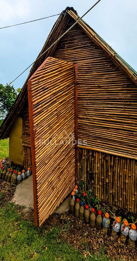 Casita Marampata Choquequirao - B&B Cobarrubias