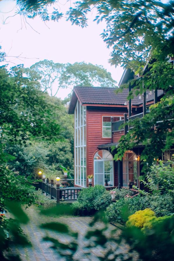 Star Coffee & Homestay - B&B Nanzhuang