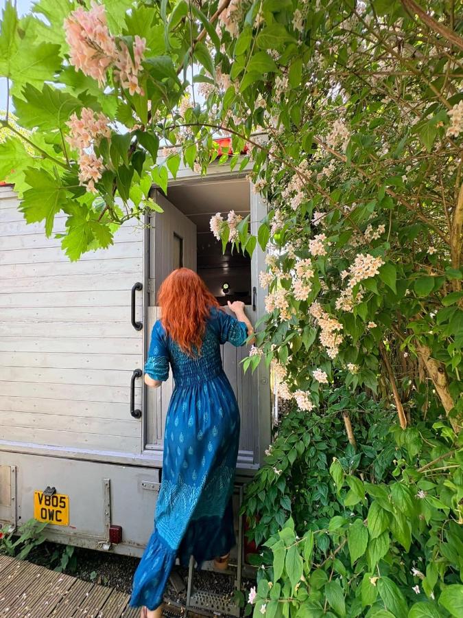 Solar Powered Hideaway converted horse box refurbished May 2026 - Ferienwohnung Fishbourne