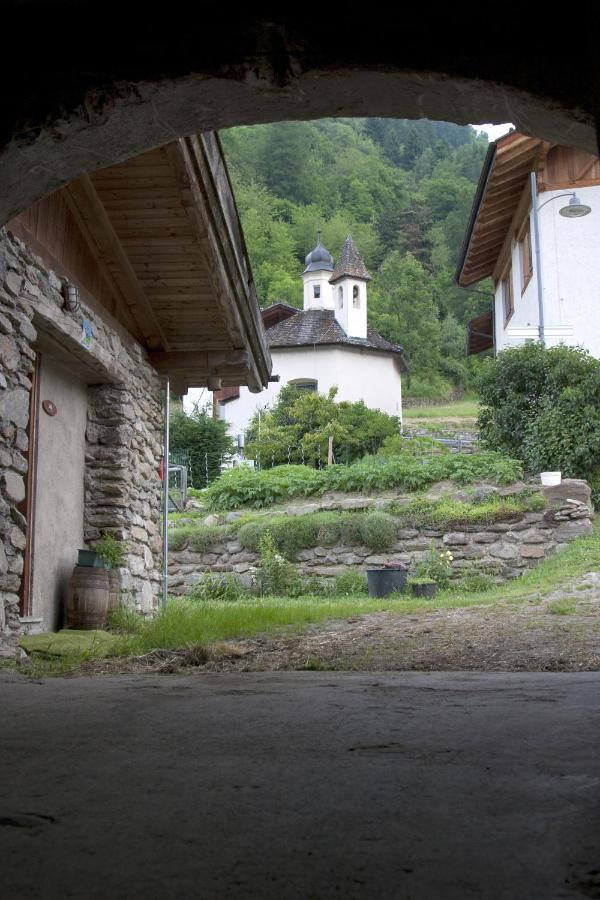 Agricampeggio Ai Gaggi - B&B Pellizzano