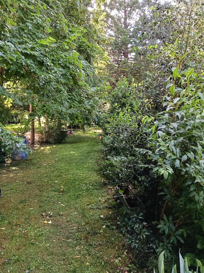 Domaine le bas bois - Ferienwohnung Neuville-sur-Sarthe