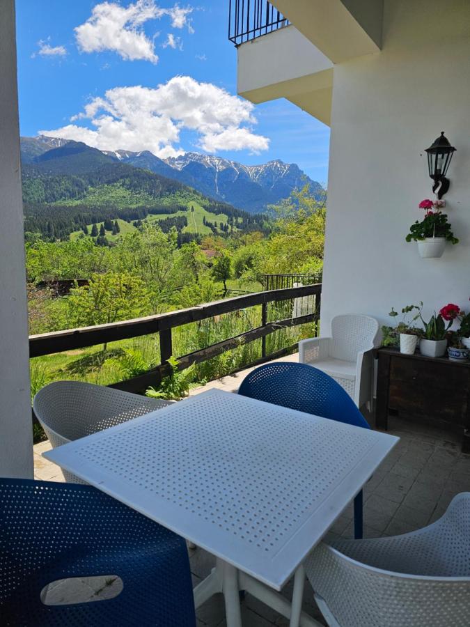 Panoramic Lodge Bran - B&B Bran