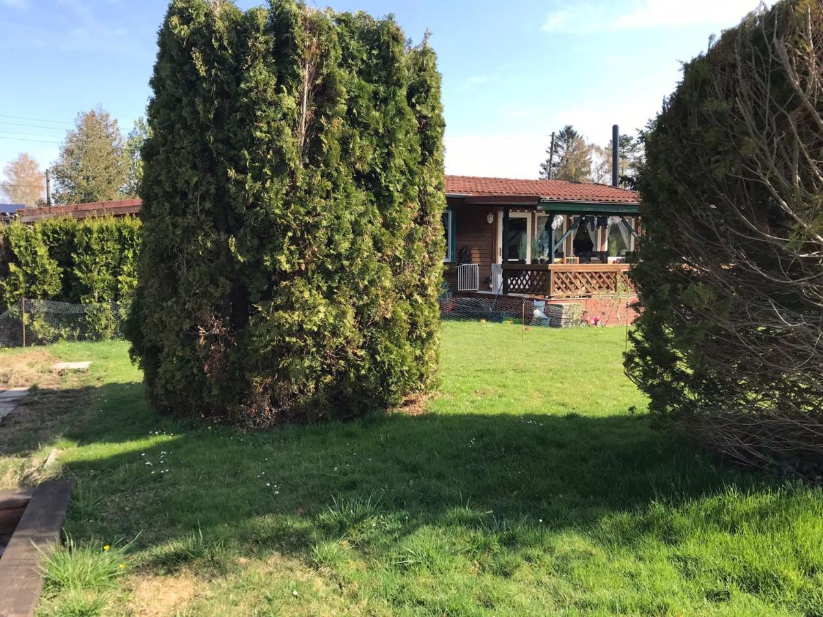 Ferienhaus Rotkehlchen Berlin Neu Venedig - B&B Berlin