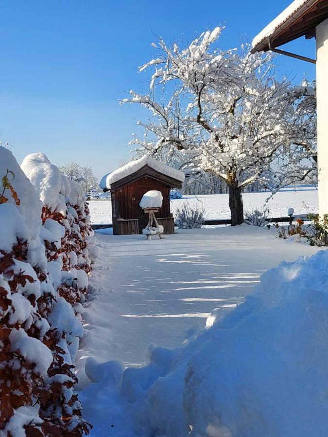 Haus Lentner - B&B Staudach-Egerndach