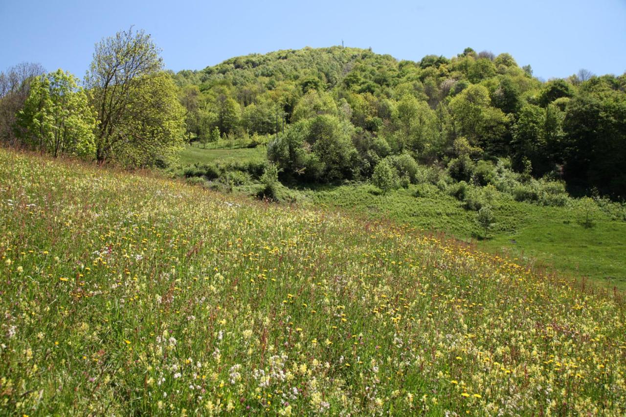 Roulotte Montagne Cleo