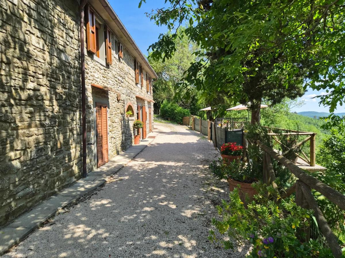 Appartement Belvedere met zwembad en panoramisch uitzicht - B&B Castel Focognano