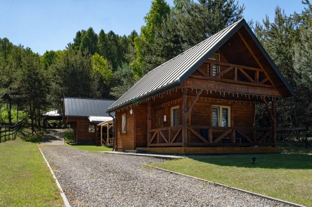 Domki całoroczne u Greściaków - B&B Adamów