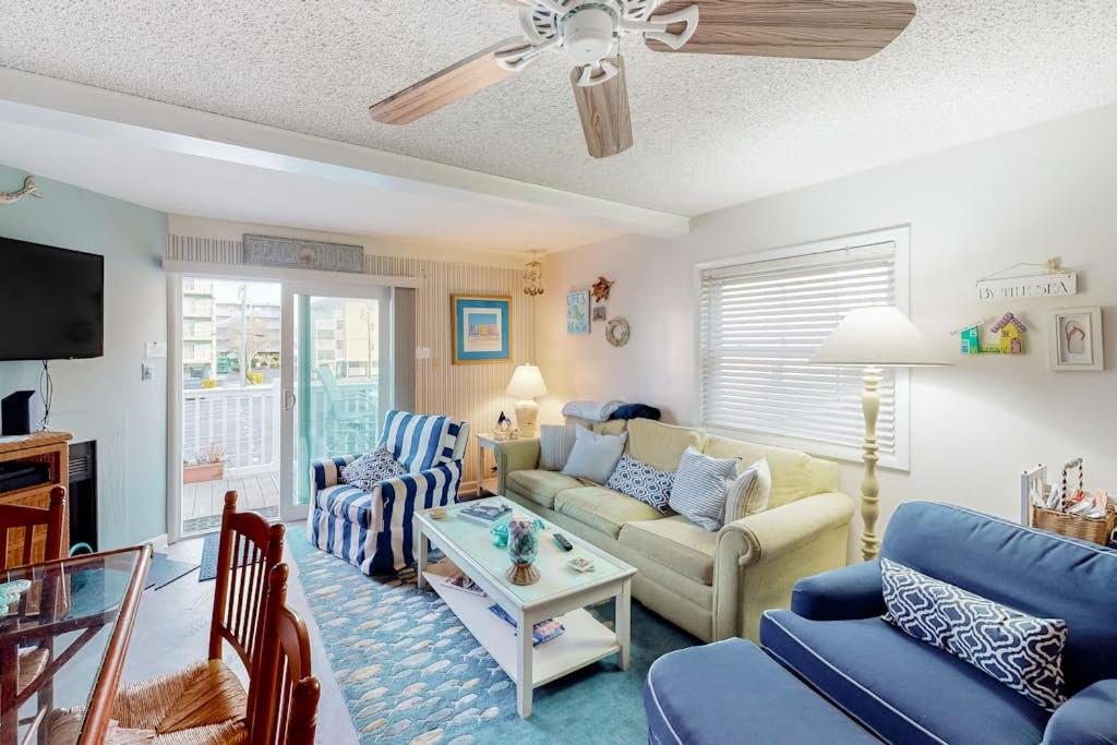 Cinnamon Teal 10 - B&B Ocean City