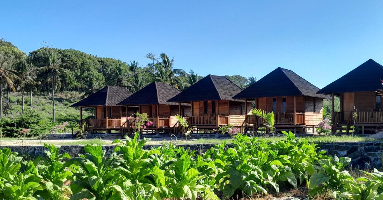 Surfers paradise cottages - B&B Ekas