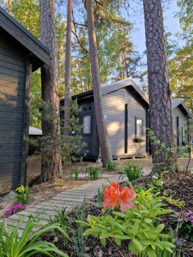 Vanagu priedes - Bed and Breakfast Kalngale