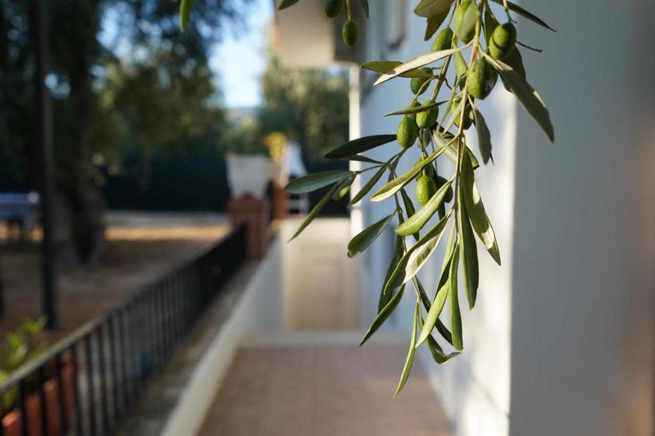 Olive&Sea Villa-SEA - B&B Mattinata