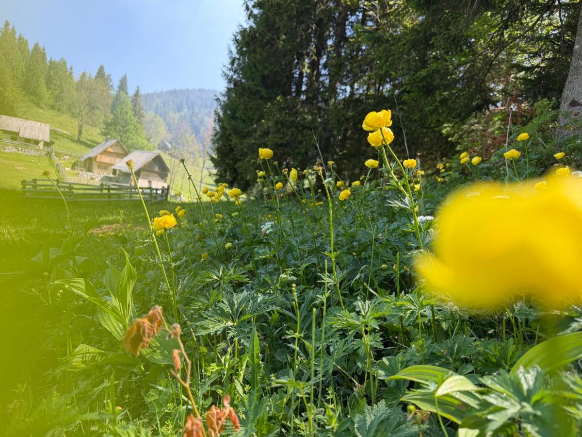 Cabin Praprotnica Pokljuka - Bed and Breakfast Srednja vas v Bohinju