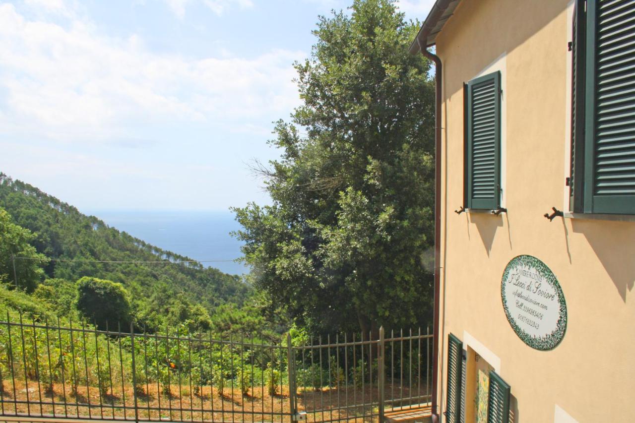 B&B Monterosso al Mare - I Lecci Di Soviore - Bed and Breakfast Monterosso al Mare