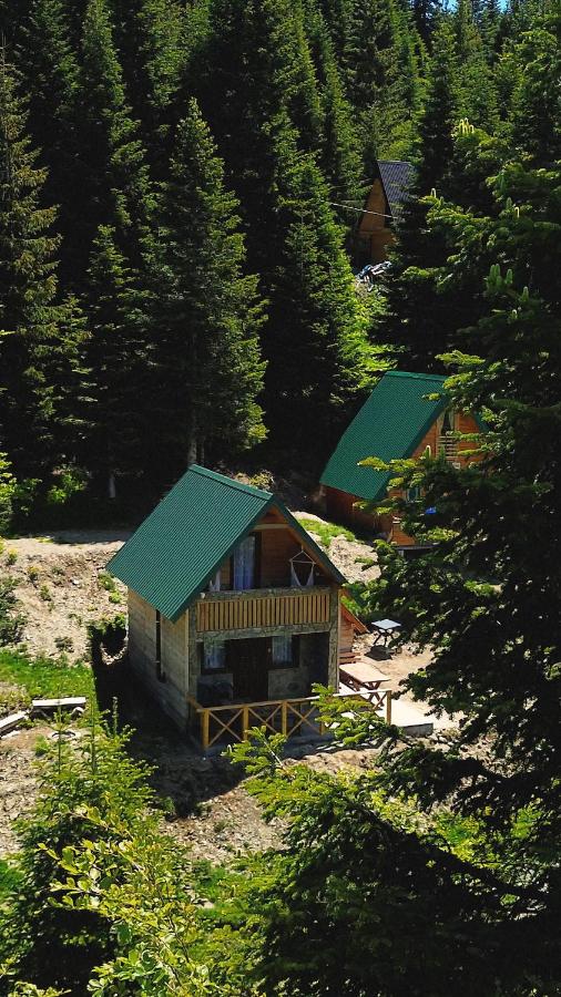 Mountain apartment-Komovi - B&B Kolašin