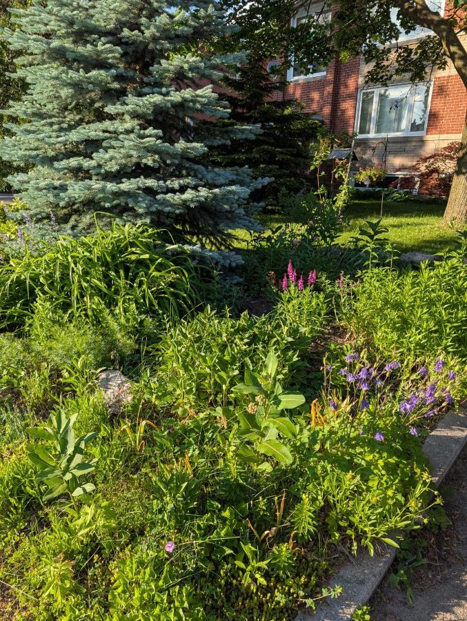 West End Basement Apartment - Ferienwohnung Toronto