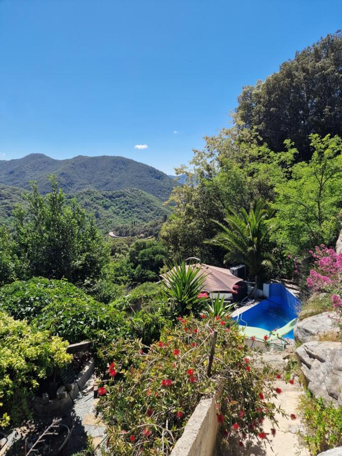 Stop Gr20 A casa di catharina - B&B Zicavo