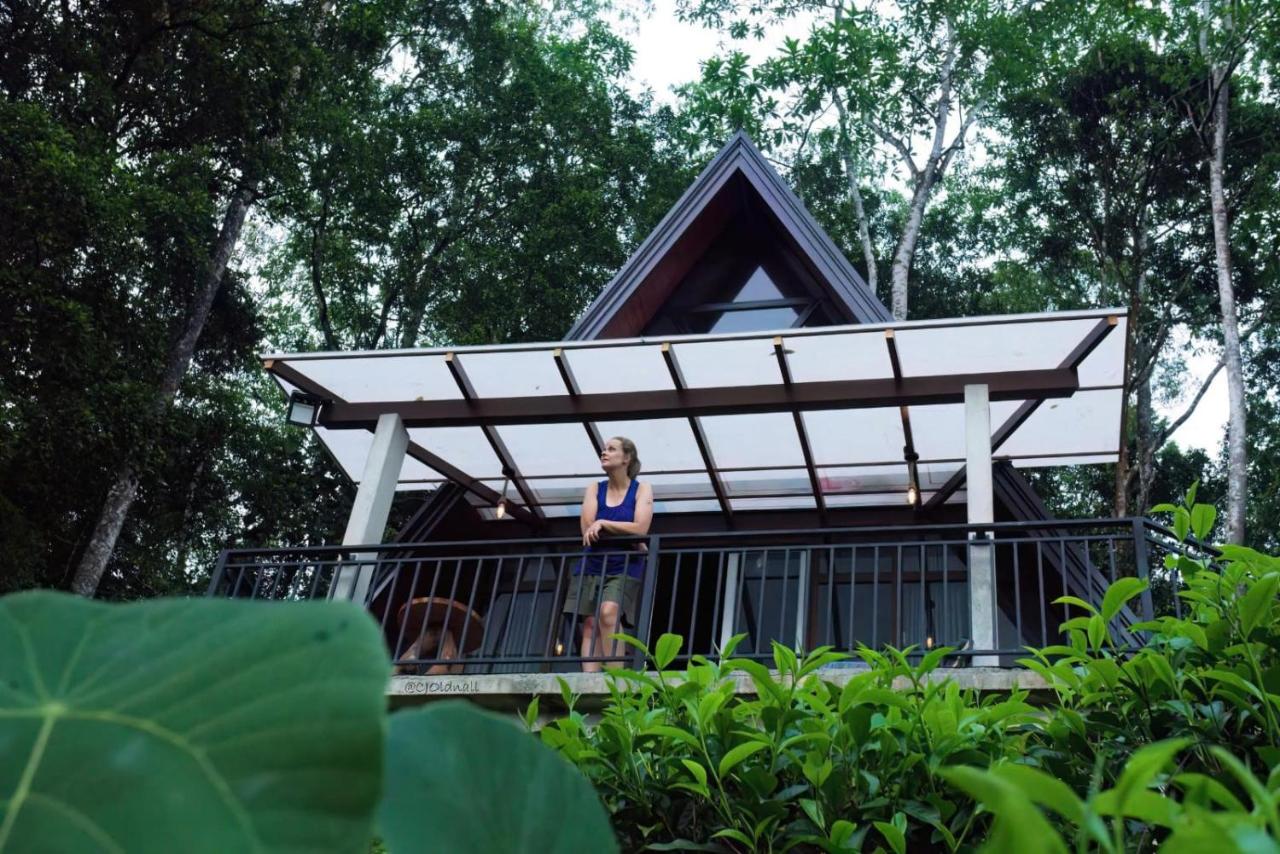 Haven Crest Sinharaja - B&B Deniyaya