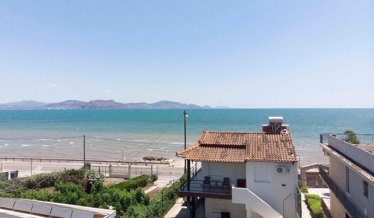 Seaside Appartment Bluethalassa with Garden - B&B Argo