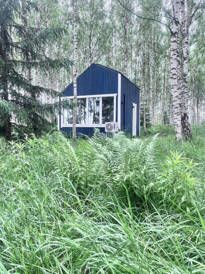 Fairytale Experience, Tartu 5 min, lake nearby - B&B Lombi