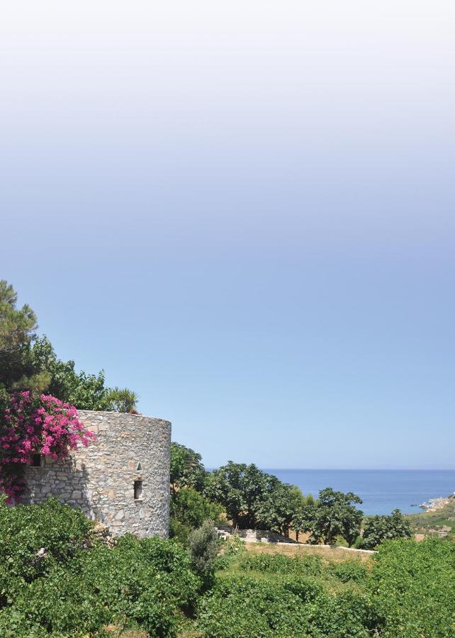 Petrino - B&B Taksiárchis