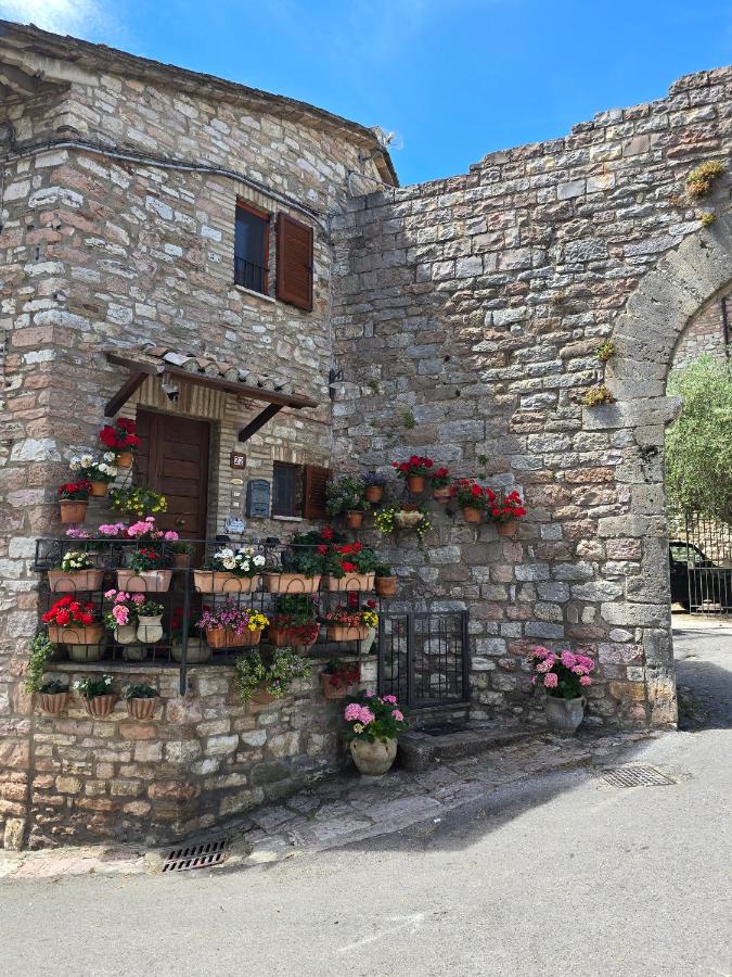 appartamento gli archiccioli - B&B Assisi