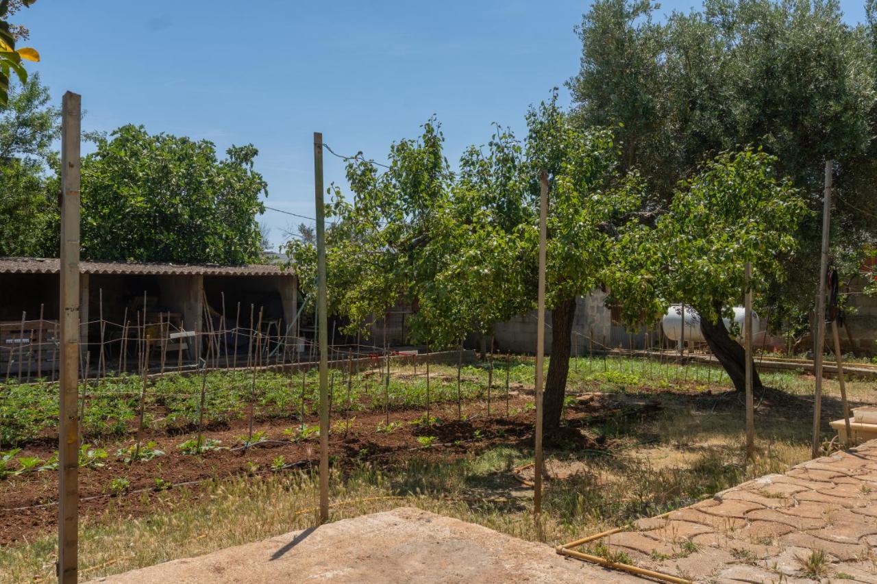 Green Levante Apt - B&B Porto Cesareo