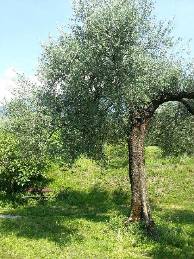 Ca' dei Gatti - Ferienwohnung Toscolano-Maderno