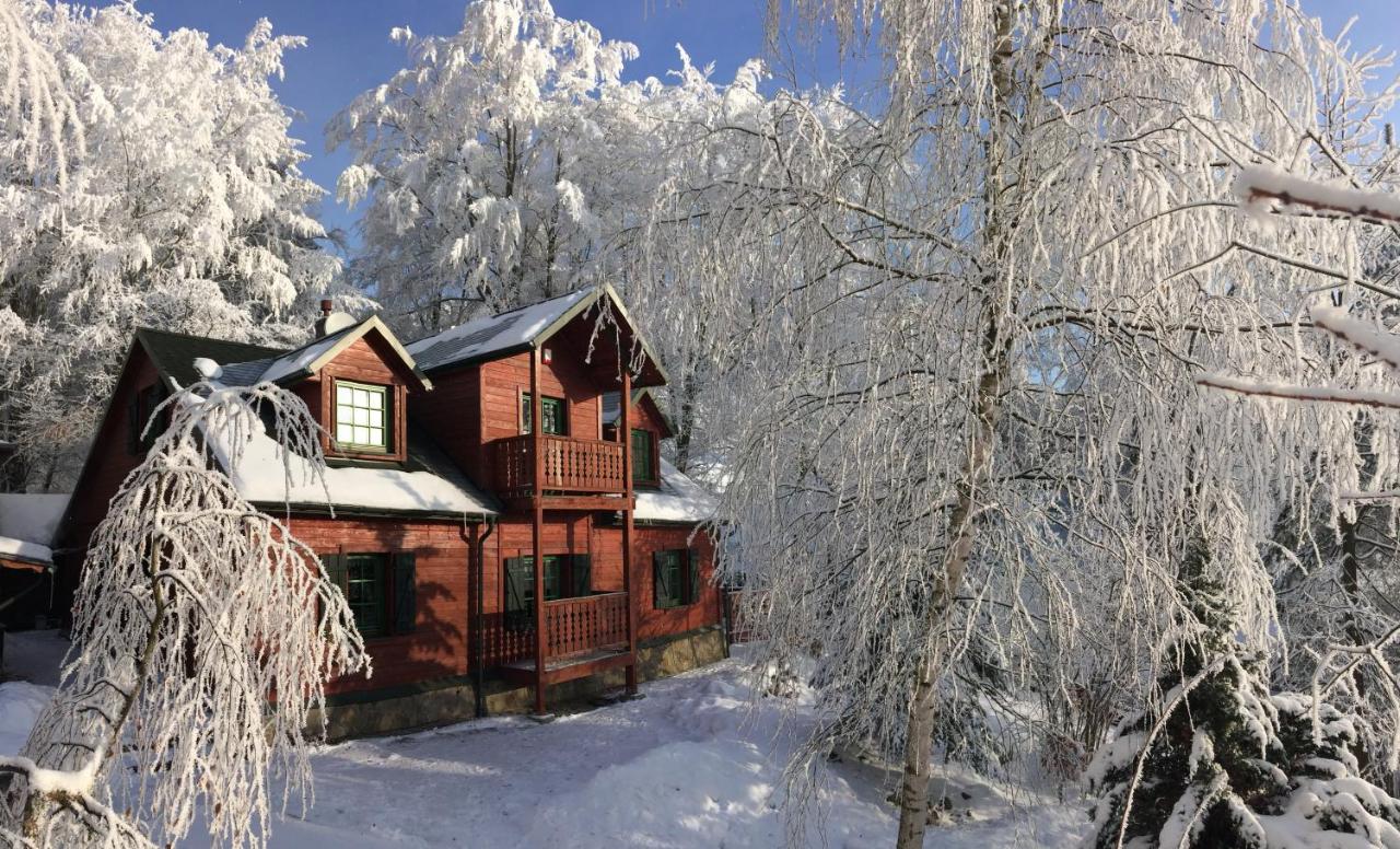 Bukowy Zdrój - B&B Krynica-Zdrój