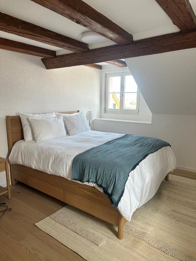 Stadtloft Suites Richterswil - Ferienwohnung Richterswil