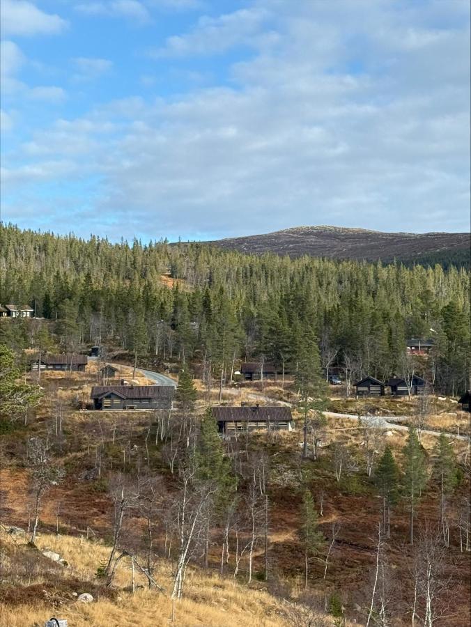 Tiurhytta, Peaceful getaway in the mountains - B&B Flå