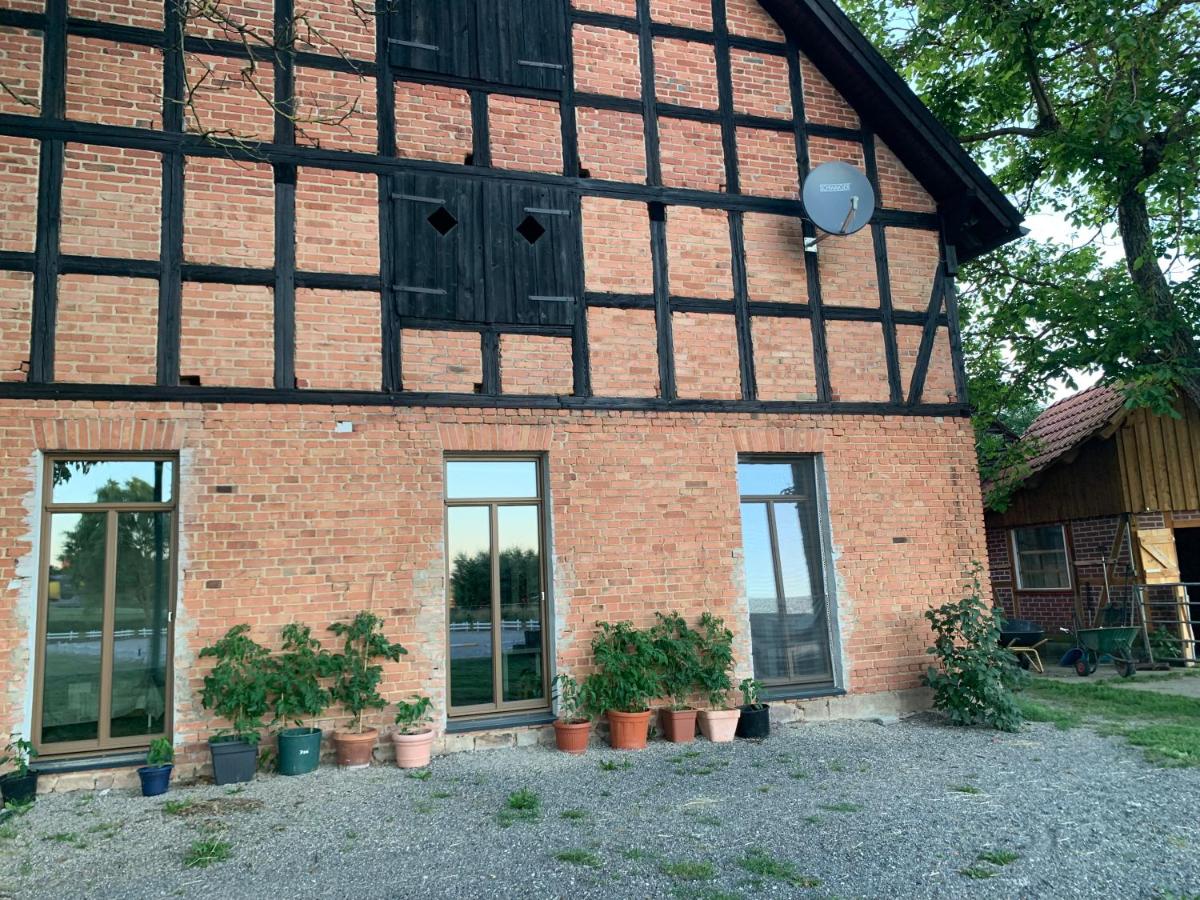 Urige FeWo im Wiesengrund - Ferienwohnung Naumburg