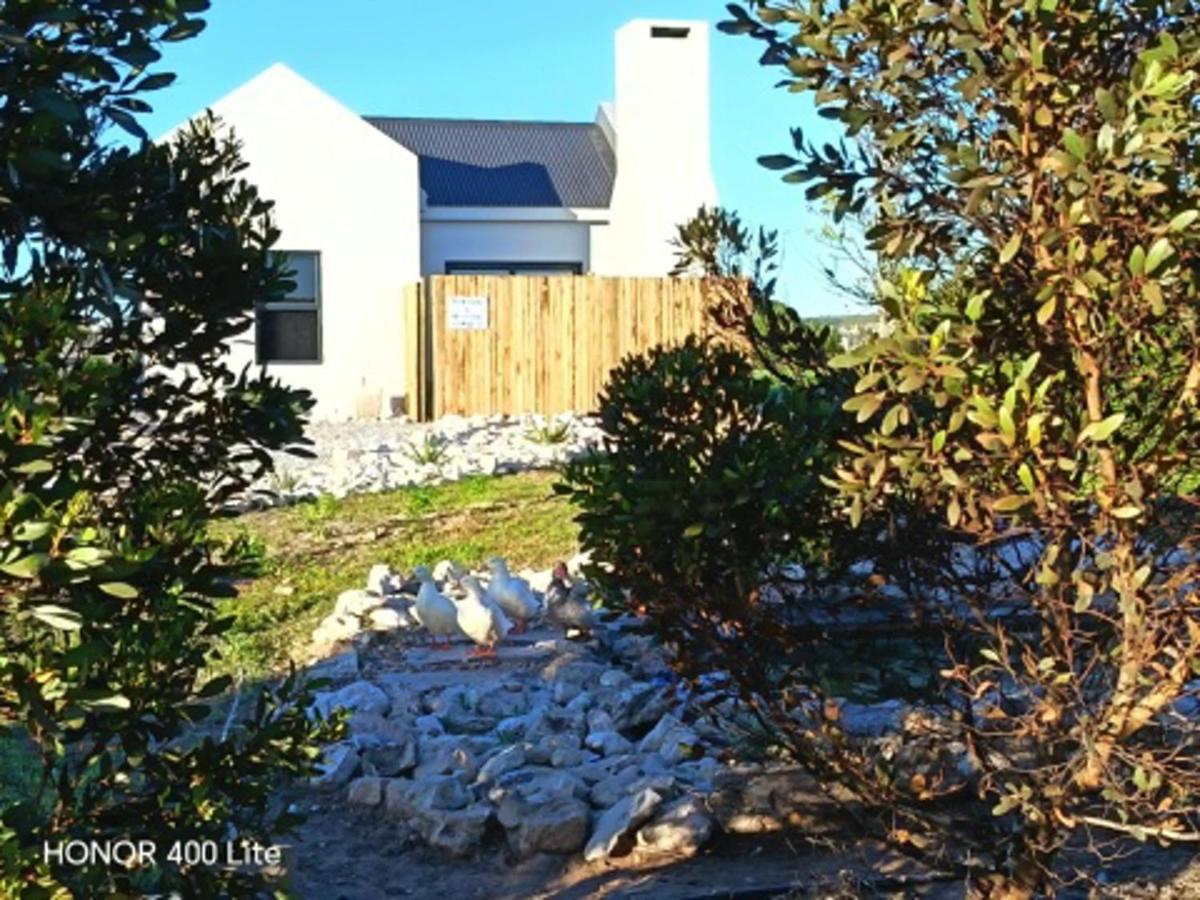 Silver Oaks Peace of Heaven - B&B Langebaan