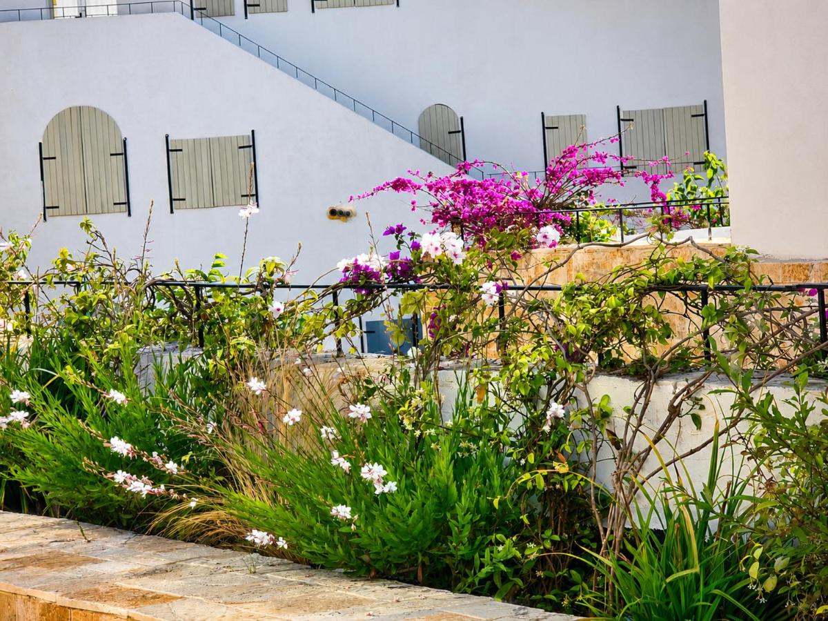 Ionian Sunset Studio Drymades - B&B Himarë