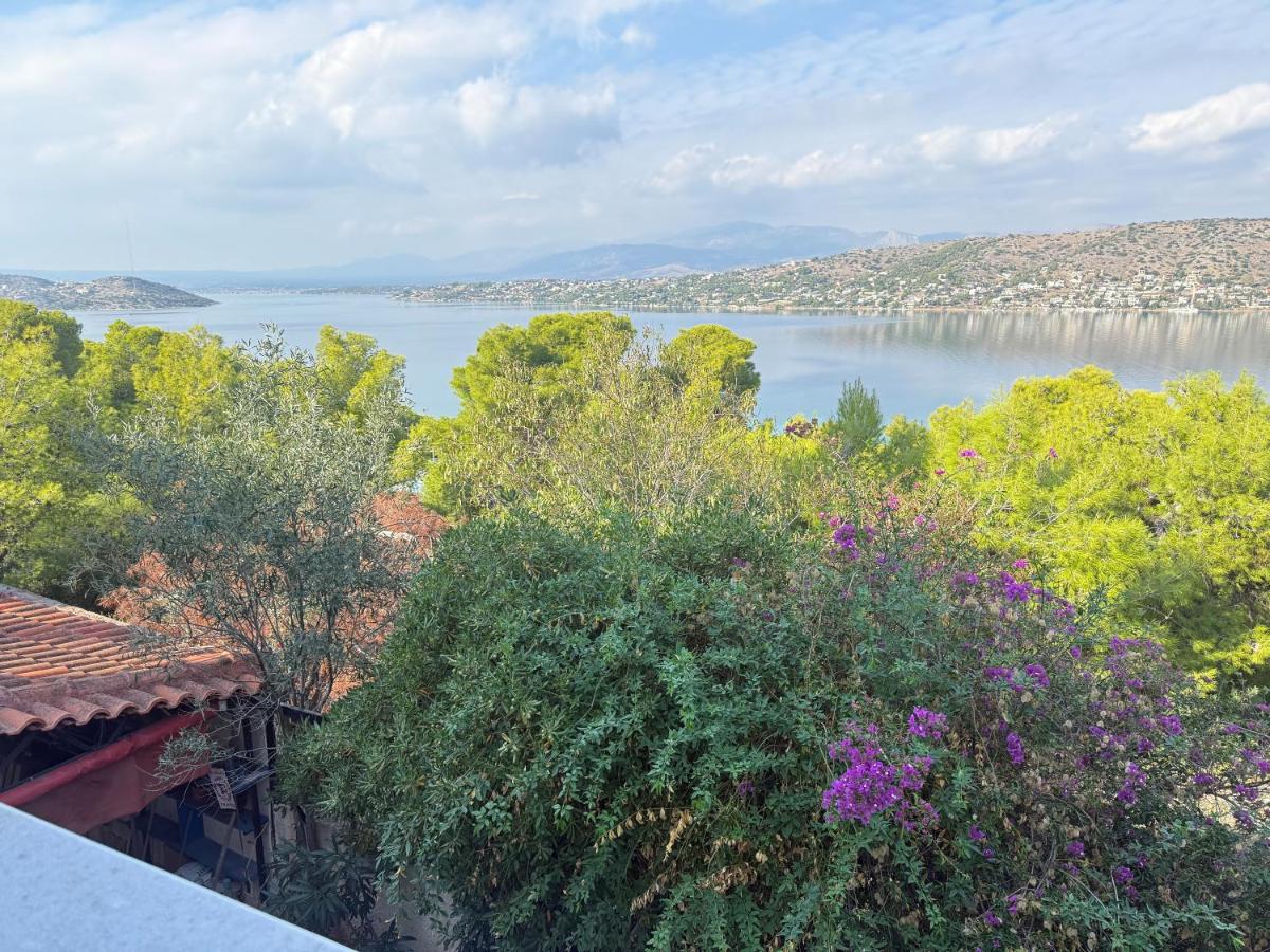 Apartment Irida - Quiet apartment with sea view near Athens - Ferienwohnung Salamína