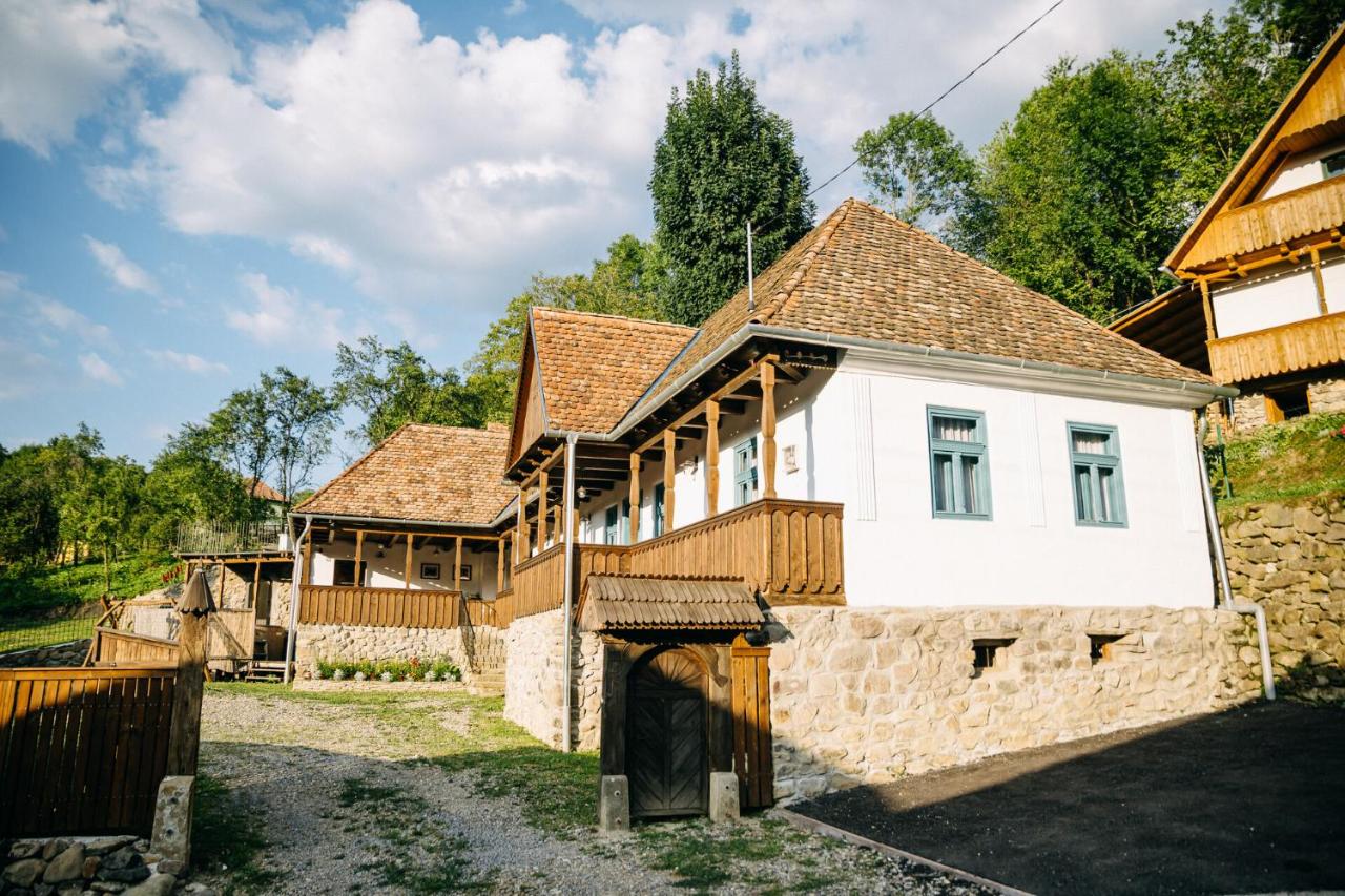 Demeter Guesthouse WOLF Siklod - Chambres d'hôtes Șiclod