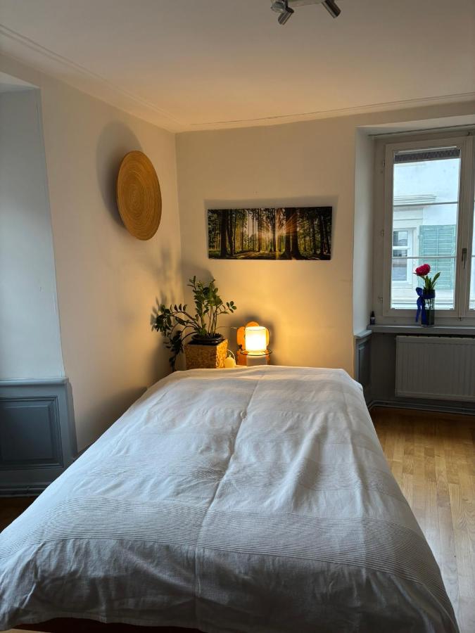 Charmante stilvolle Wohnung in schöner Altstadt - B&B Rheinfelden