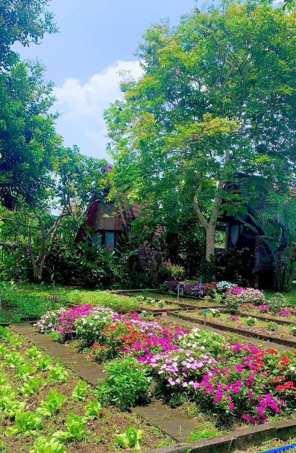 Buon'S garden - Bed and Breakfast Buôn Kao
