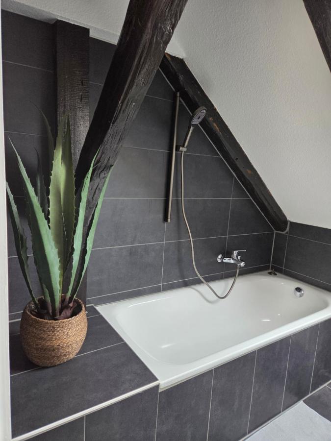 Bördeapartment 7 - B&B Vahldorf