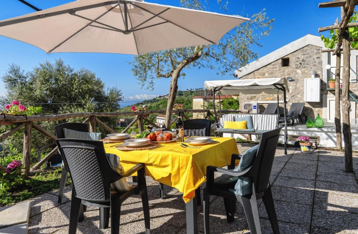 Sweet Rose Studio Apartment with Garden - Bed and Breakfast Massa Lubrense