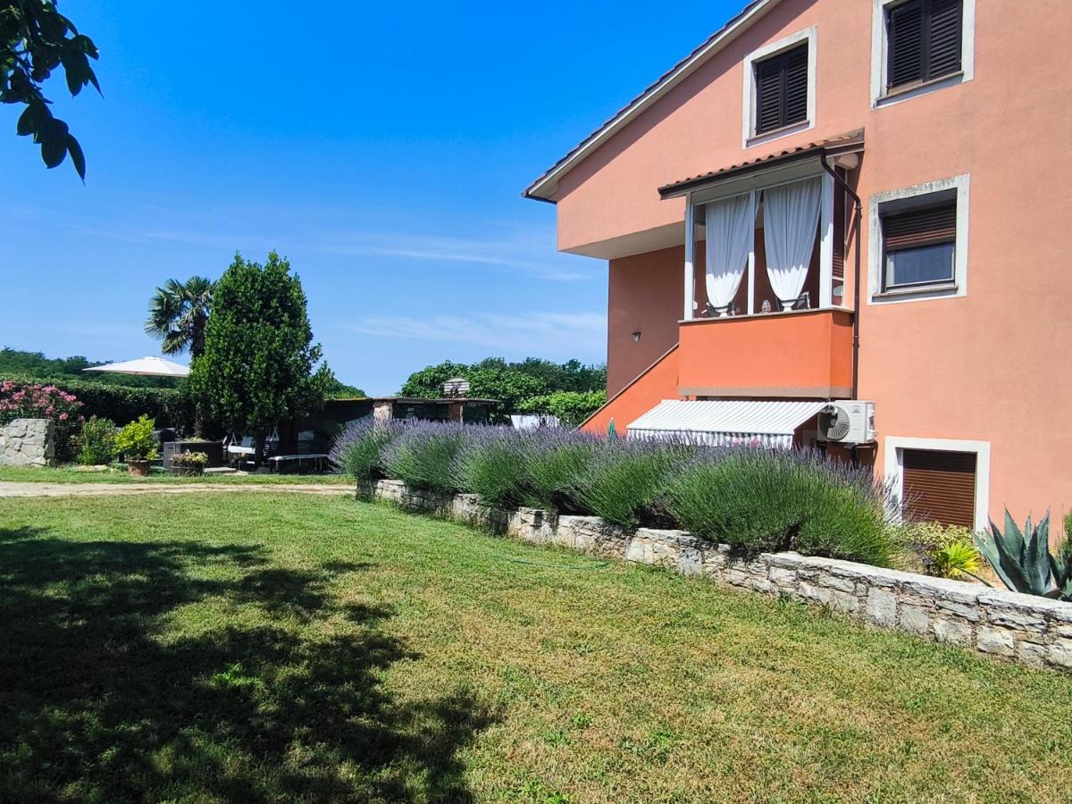 Apartments Davor - Bed and Breakfast Umag