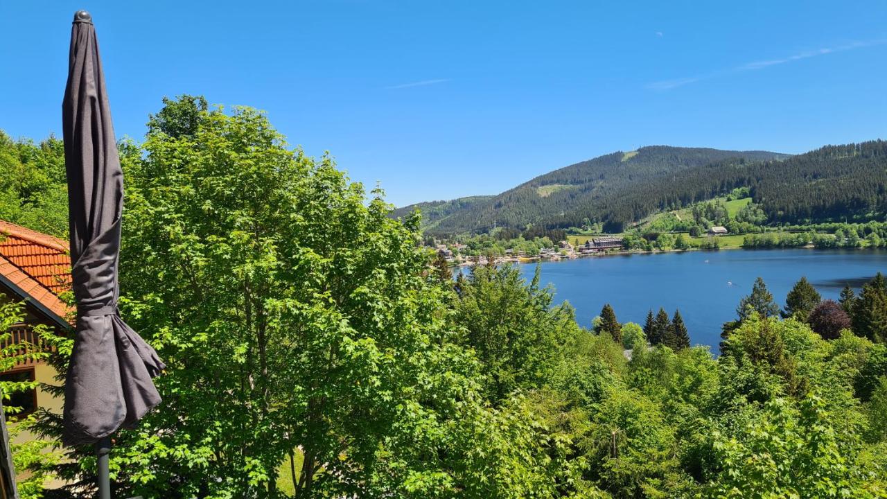 Traumblick auf den Titisee, ruhige FeWo für 1-4 - Ferienwohnung Hinterzarten