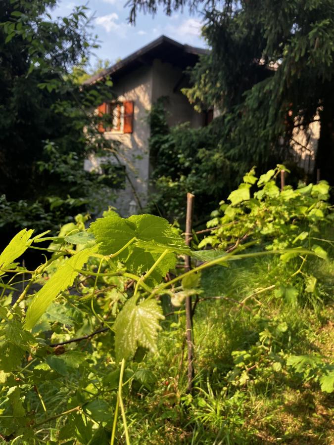 La casa nel bosco - Brione - Ferienwohnung Brione