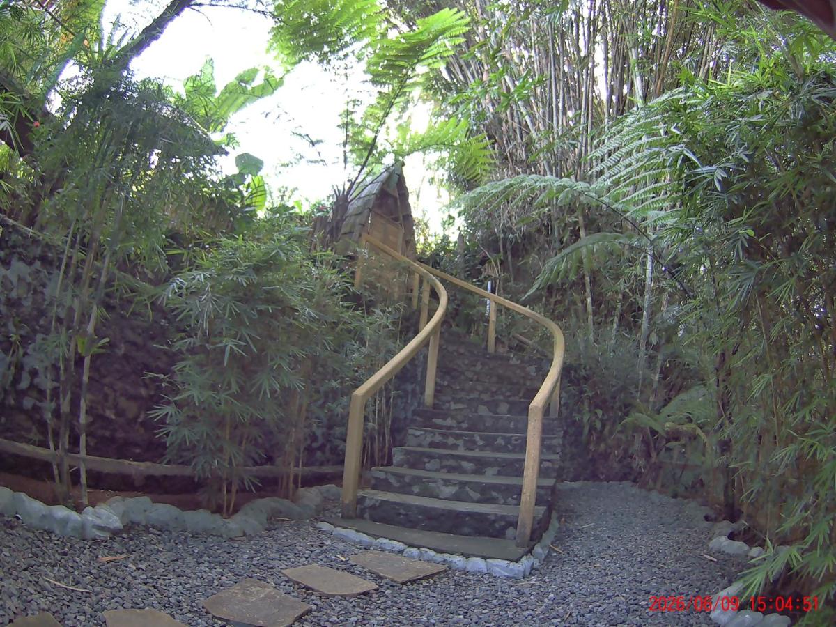 EcoBamboohouse salacca - B&B Manggis